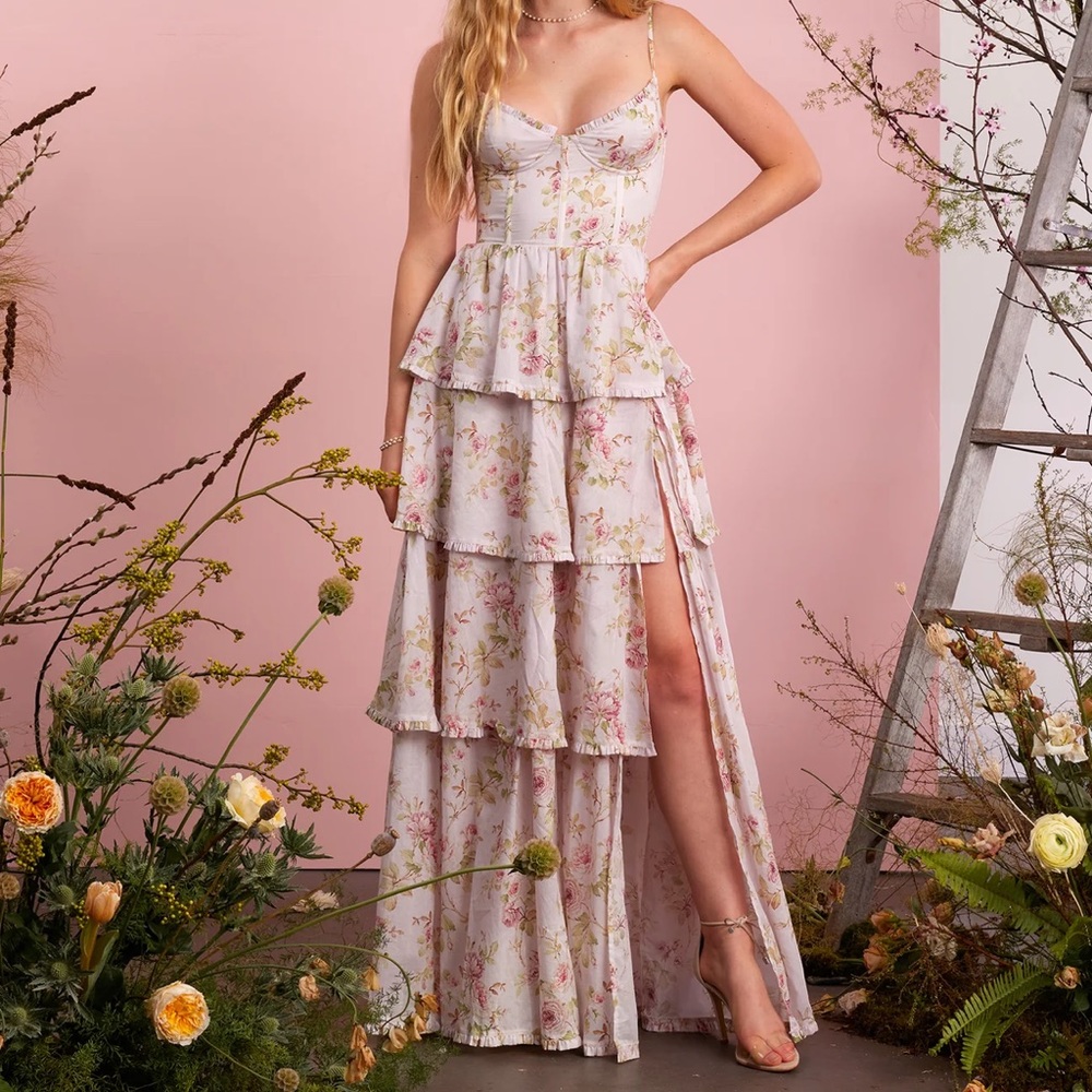 V. Chapman Caterina Dress in Pink Rose Print Size 8